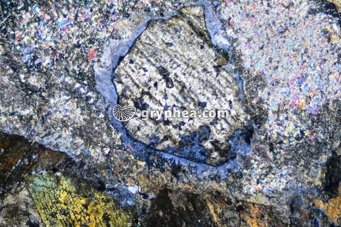 Pyroxène avec auréole de Glaucophane LPA x7 - gryphea.com